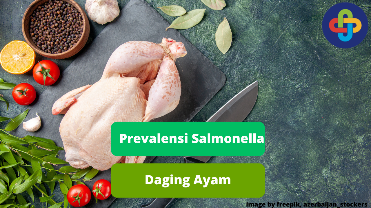 Berikut Ulasan Prevalensi Salmonella Daging Ayam Di Indonesia